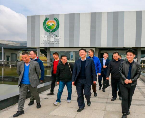 集团党委书记、董事长任丁率队调研聚峰谷